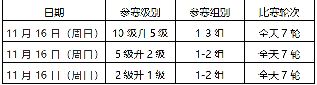 2025“晚报杯”北京市冬季业余围棋级位赛补充规定