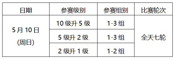 2026年北京市“东弈杯”青少年夏季业余围棋级位赛补充规定